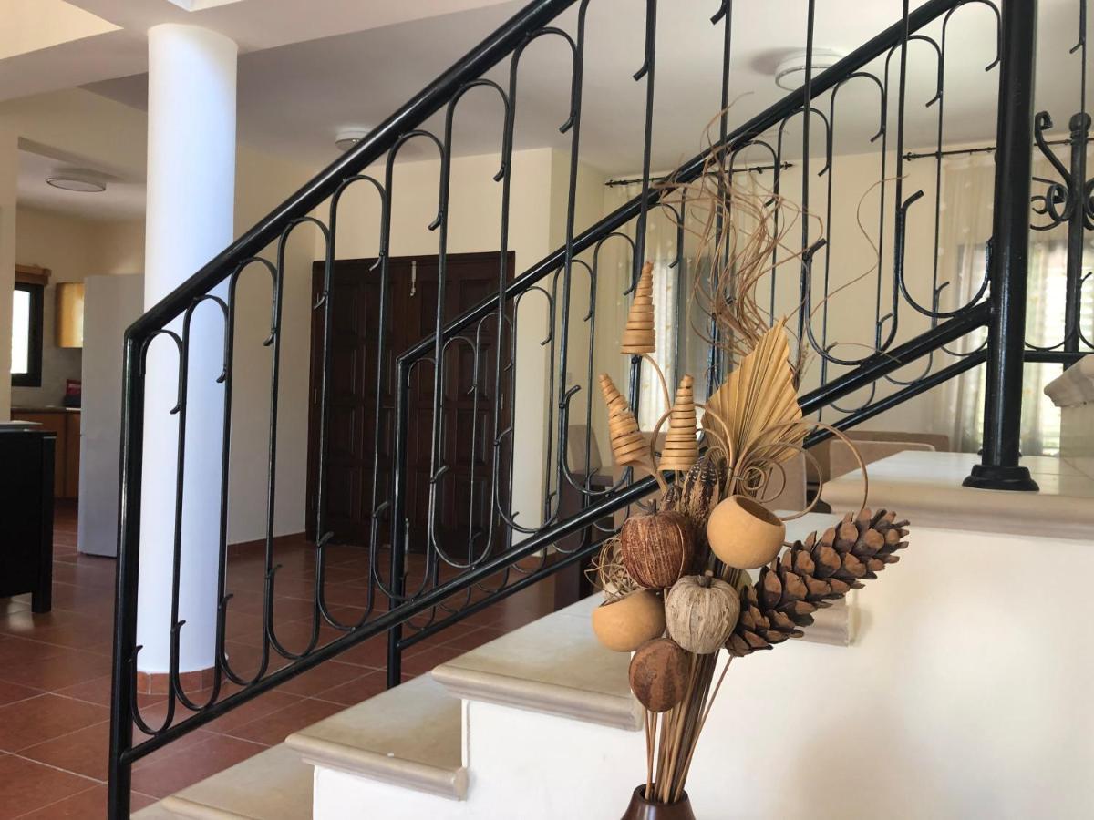 Theos Club Villas Polis Exterior foto